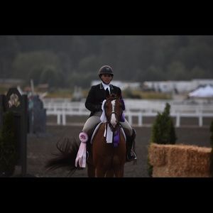 Meet your Posher, Tammy